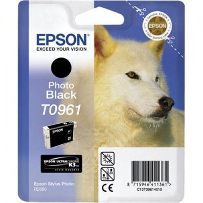 Изображение Картридж cтруменевий Epson StPhoto R2880 photo black (C13T09614010)