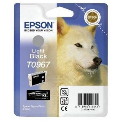 Изображение Картридж cтруменевий Epson StPhoto R2880 light black (C13T09674010)