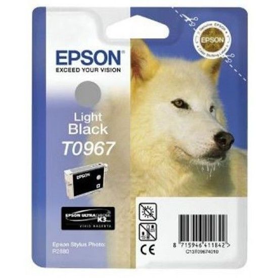 Зображення Картридж cтруменевий Epson StPhoto R2880 light black (C13T09674010)