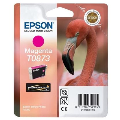 Изображение Картридж cтруменевий Epson StPhoto R1900 magenta (C13T08734010)