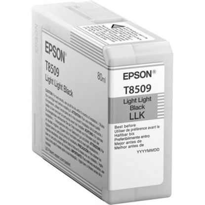 Изображение Картридж cтруменевий Epson SureColor SC-P800 light light black (C13T850900)