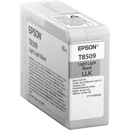 Изображение Картридж cтруменевий Epson SureColor SC-P800 light light black (C13T850900)